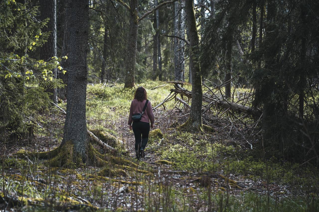 Lisa Röstlund alene i skogen