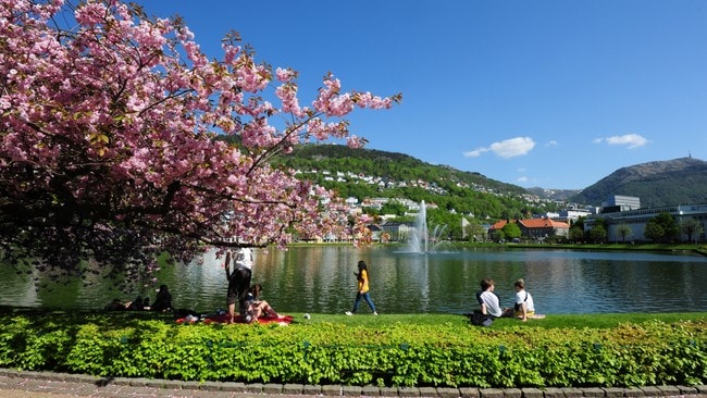 På festplassen i Bergen slapper folk av foran LilleLungeren sol fra nesten skyfri himmel.