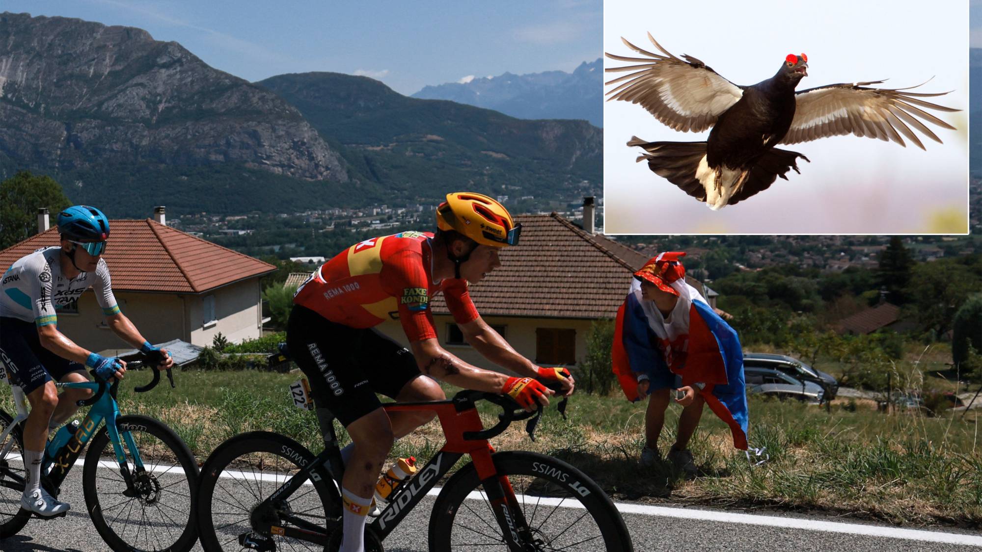 Jonas Abrahamsen Storfugl Tour de France
