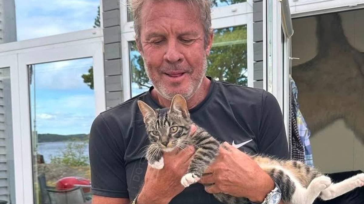 Kattungen Chang på rundtur: – Jeg trodde noen hadde kidnappet ham