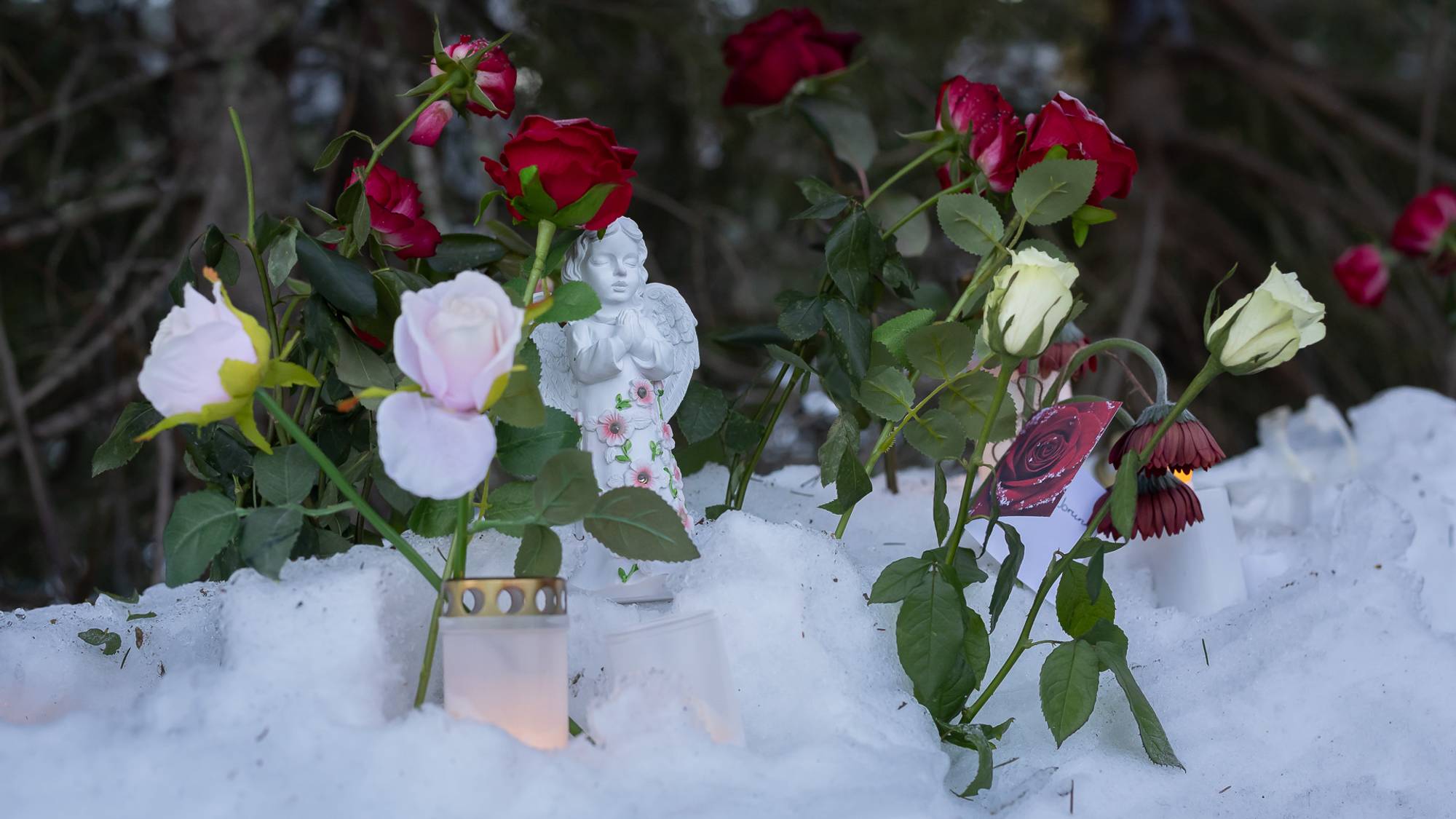 Bildet viser et minnesområde med blomster, deriblant røde og hvite roser, plassert i snø. Det står også en figur av en engel, sammen med lys som er tent. Området er omkranset av trær, som gir en naturlig bakgrunn. Det skaper en stille og respektfull atmosfære. (Bildebeskrivelsen er laget av en KI-tjeneste)