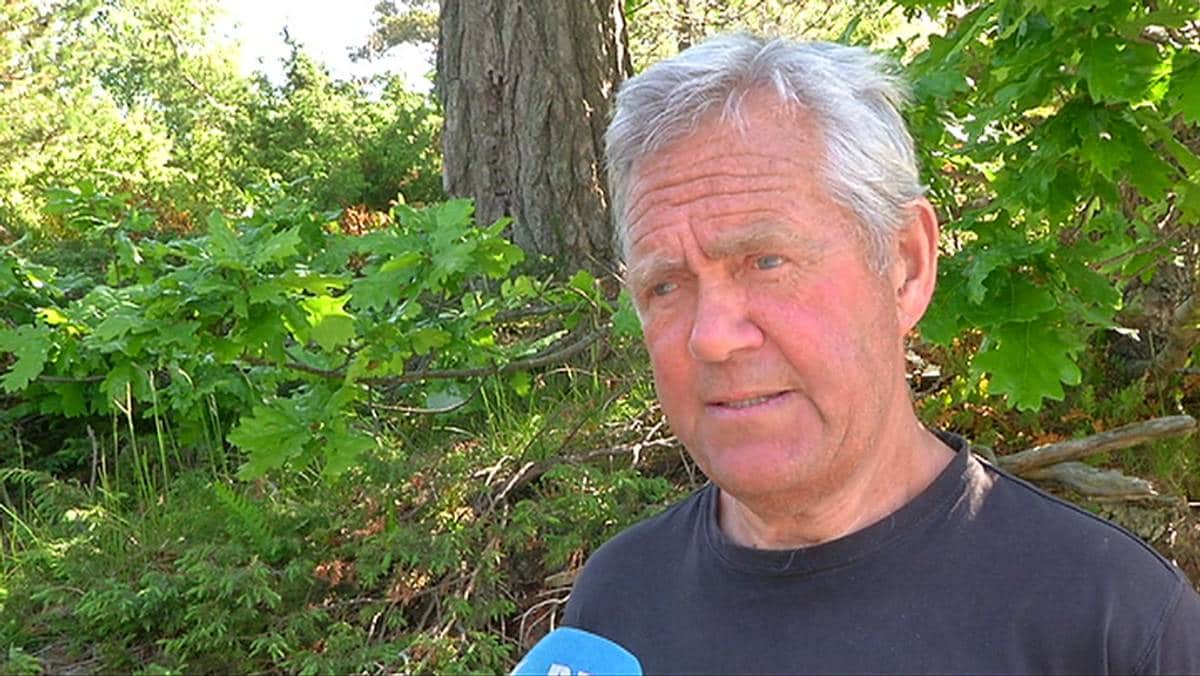 Underskriftskampanje for skogsområde