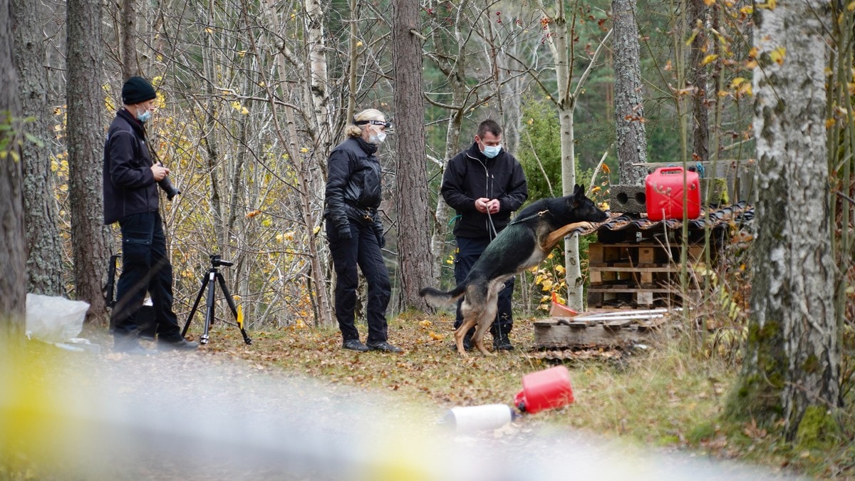 Mann siktet for drap på kvinne i Drangedal