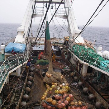 5LllTHoqEhUSXJ8cYnzQzwbSbJEAn3hXmNzQUQI-