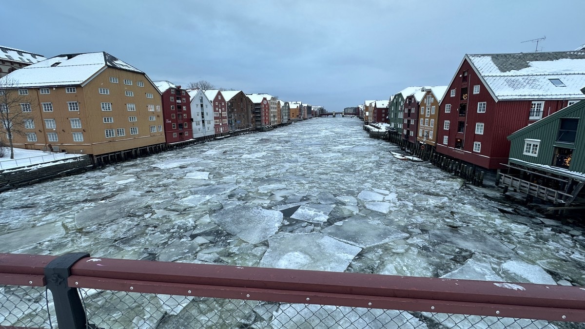 Massiv ispropp i Nidelva – fryktar fleire båtar kan bli øydelagde