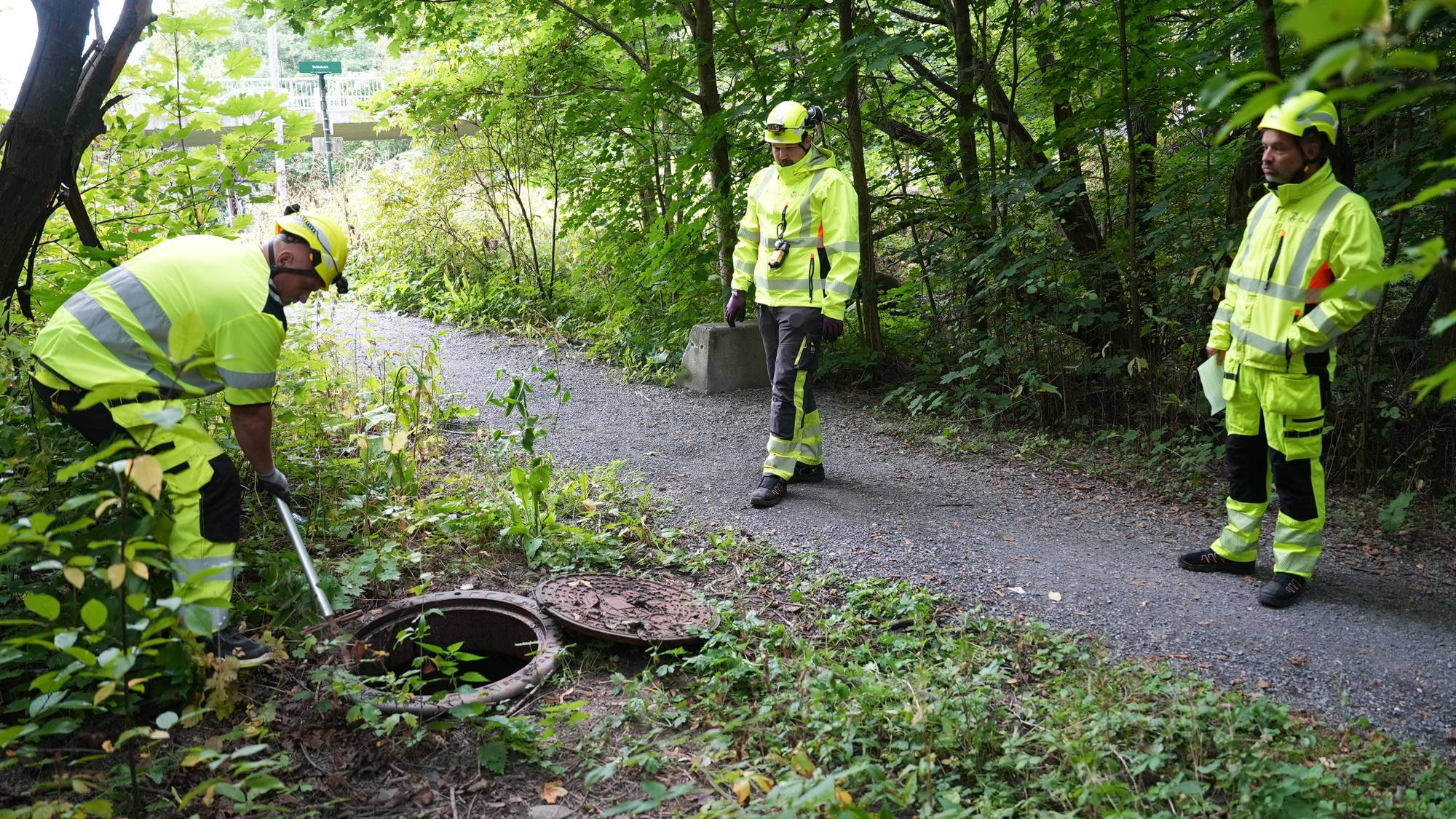 Tre personer i gul verneutrustning inspiserer et åpent kumlokk i et skogkledd turområde. (Bildebeskrivelsen er laget av en KI-tjeneste)