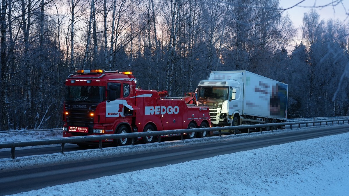 E6 ble stengt etter elgpåkjørsel