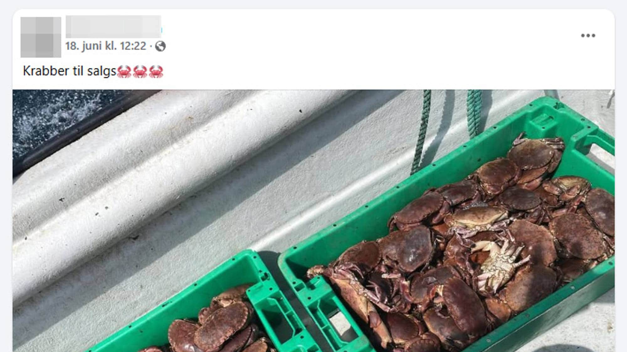 Skjemdump frå Facebook som viser ulovleg sal av fisk