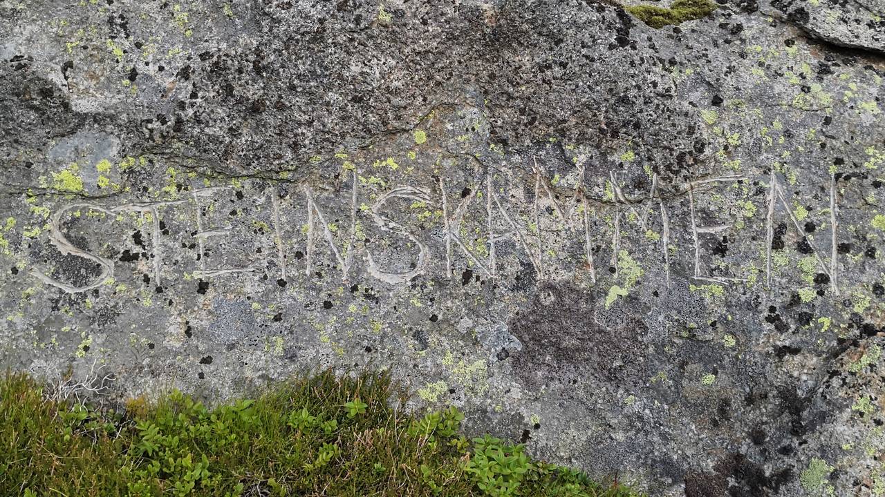 steinskammen