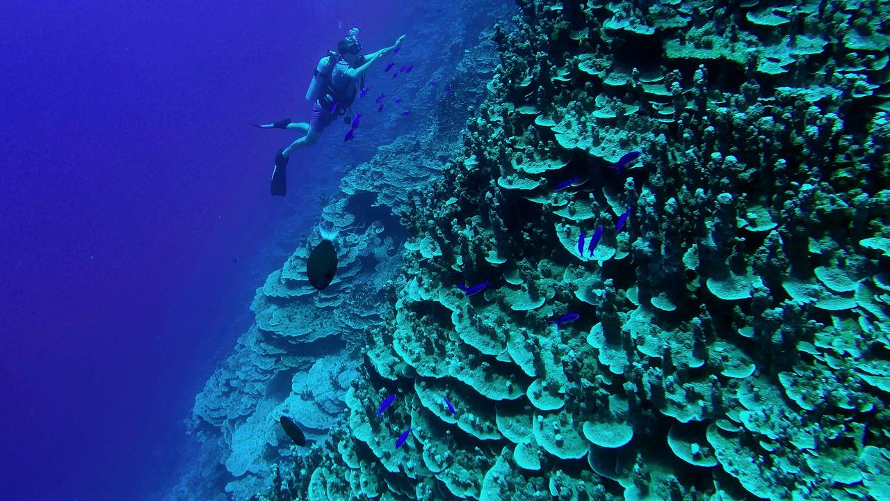 Korallrev utenfor Majuroatollen på Marshalløyene. 