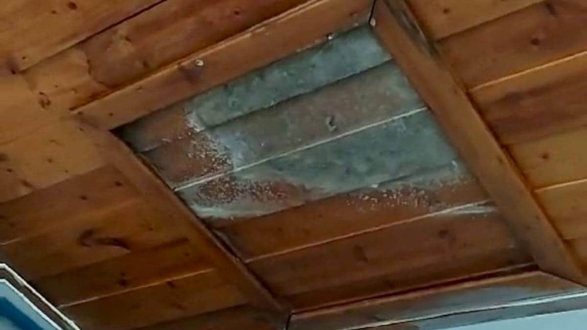 rencontre femme norvege