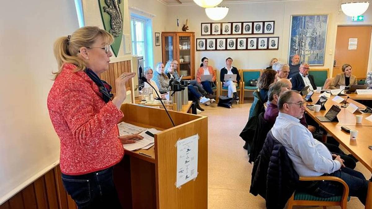 Økonomisk krise i Froland