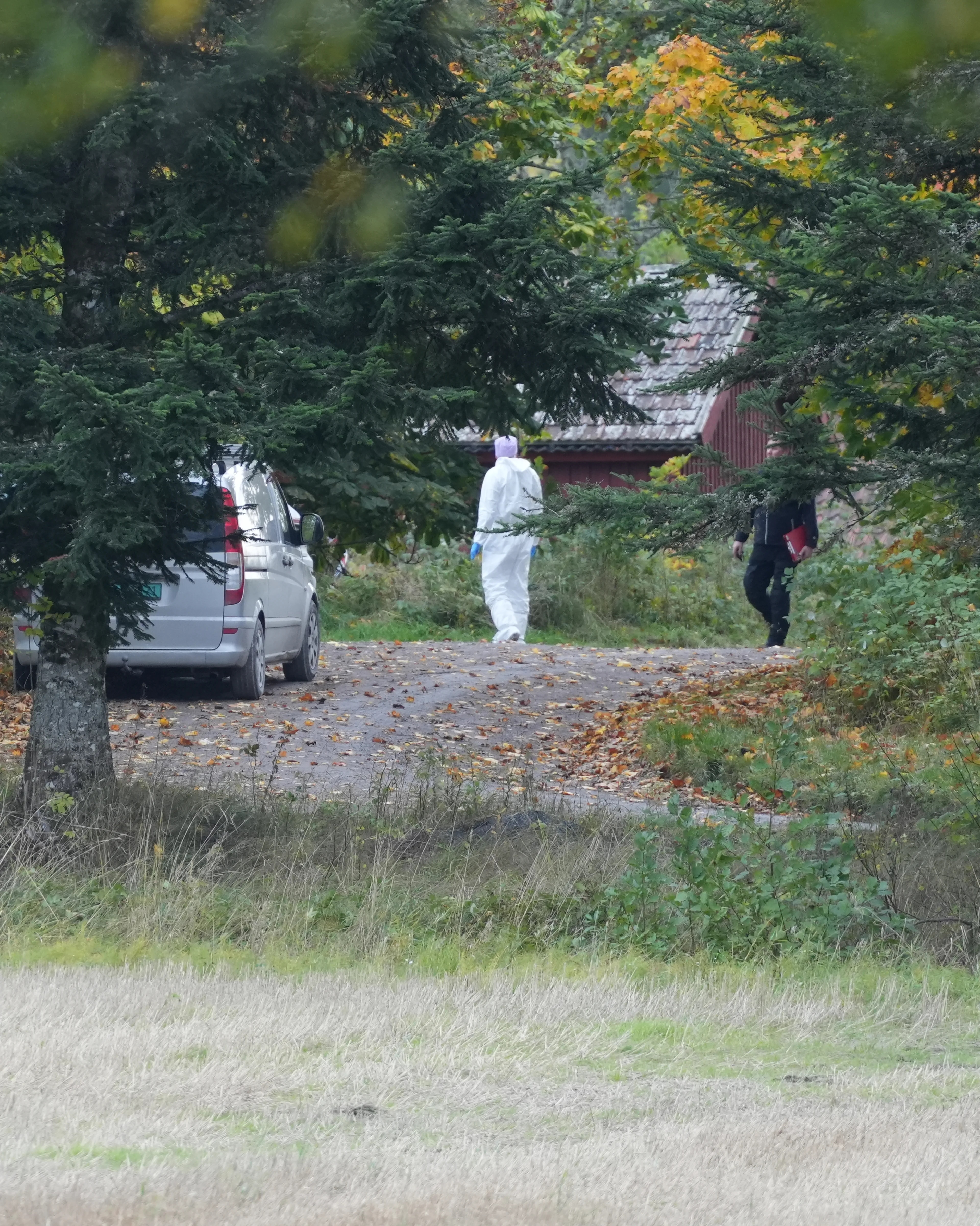 Krimtekniker i hvit drakt og en person i mørke klær ved en bil nær et skogholt og jorde. (Bildebeskrivelsen er laget av en KI-tjeneste)