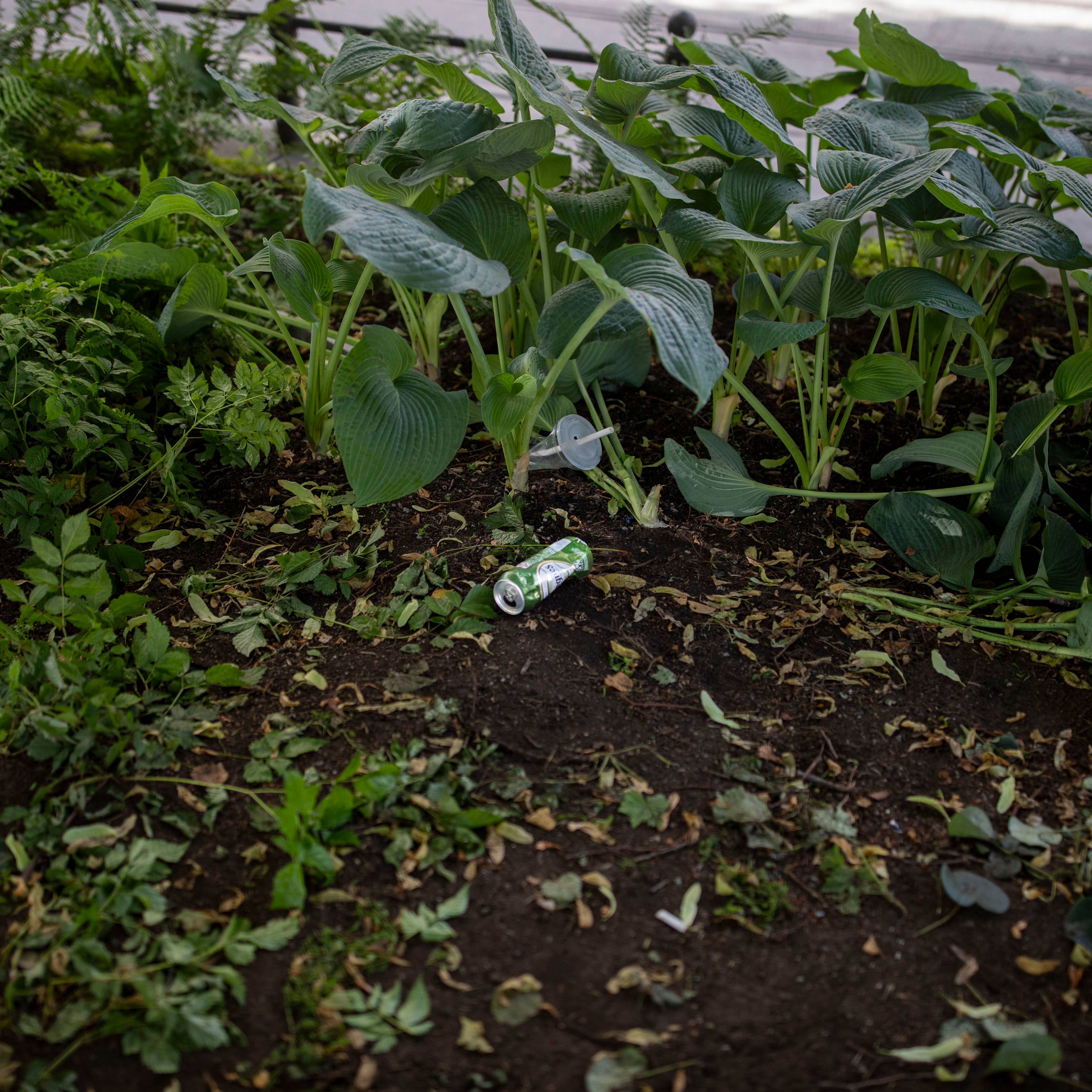 En pantelotter og et tomt plastbeger ligger på jorden. Utenfor en blomsterbed ligger grønne planter og grener spredt. Det er også flere veltede planter i bakgrunnen.