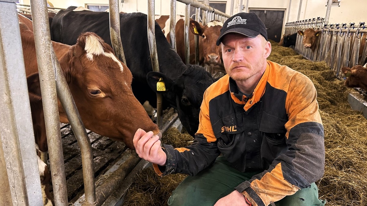 Bonden tømmer fjøset og har fått seg ny jobb: – Vil tjene fem ganger så mye