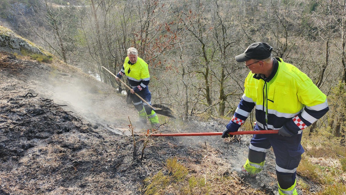 Brann slukket i Lyngdal