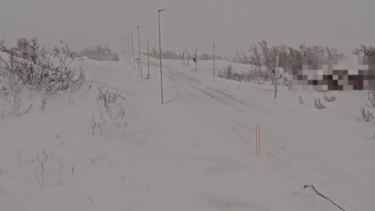 Fare for kolonnekjøring over Saltfjellet – NRK Nordland