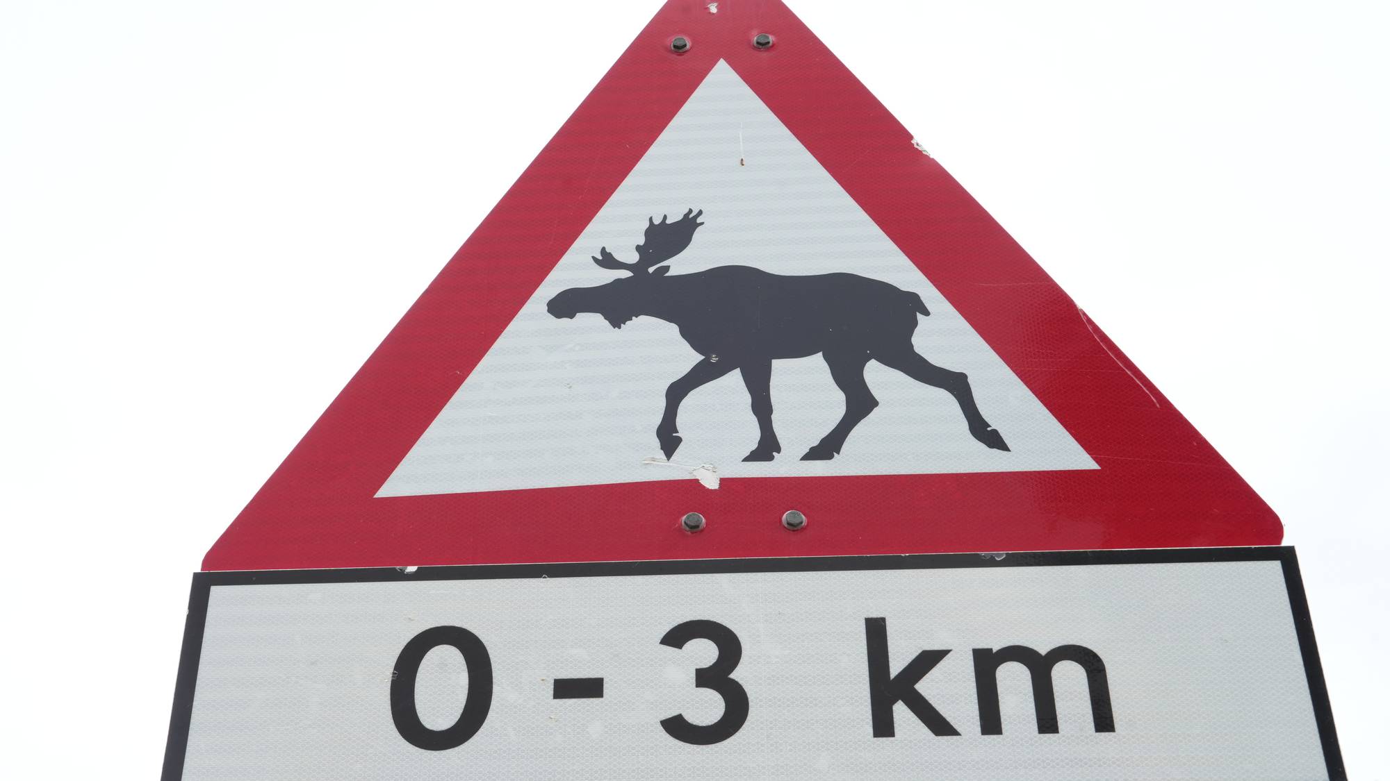 Nærbilde av et fareskilt for elg, med avstanden 0-3 km under. 
