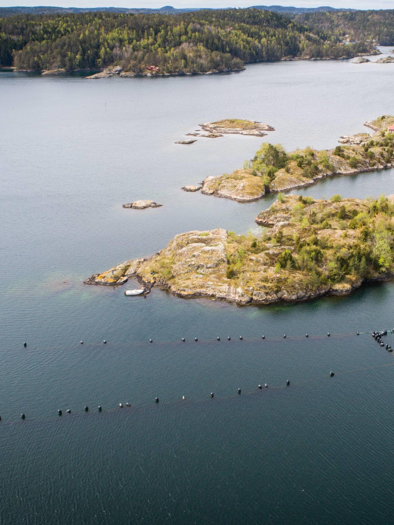 Agder mussels anlegg for blåskjell. Gjeving utenfor Risør.