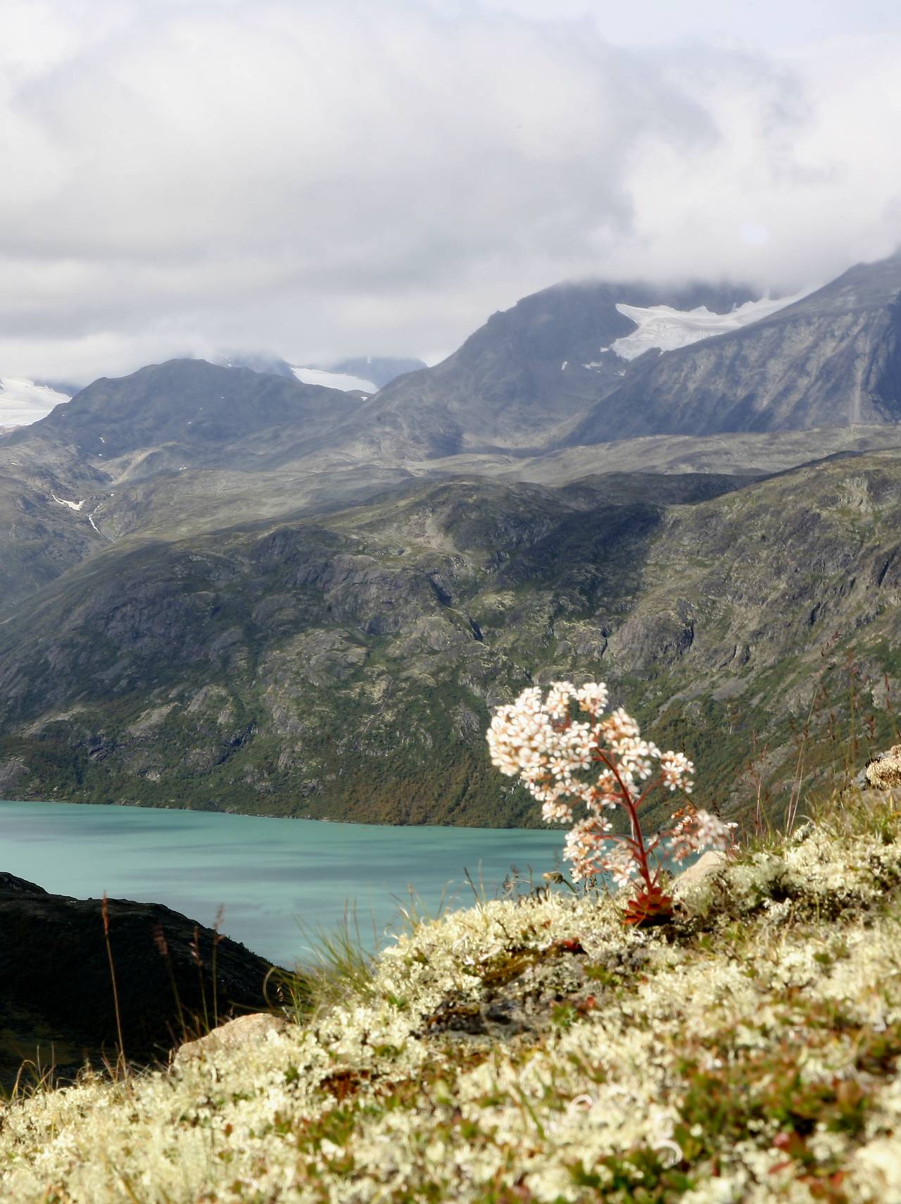 Høstfarger på Knutshø