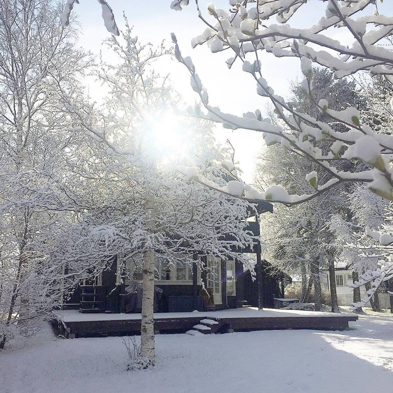 Et hus med trær foran, dekket i snø.