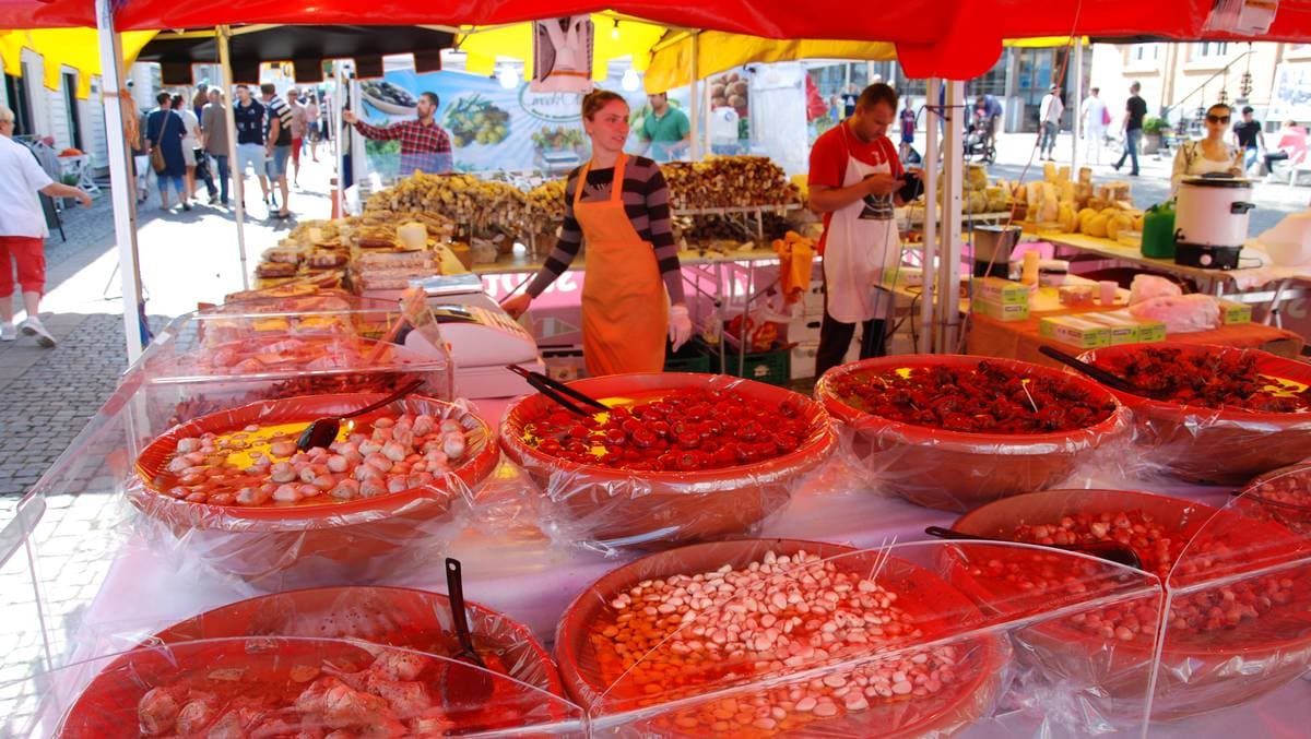 Ekstra mange lokalartister på Skalldyrfestivalen