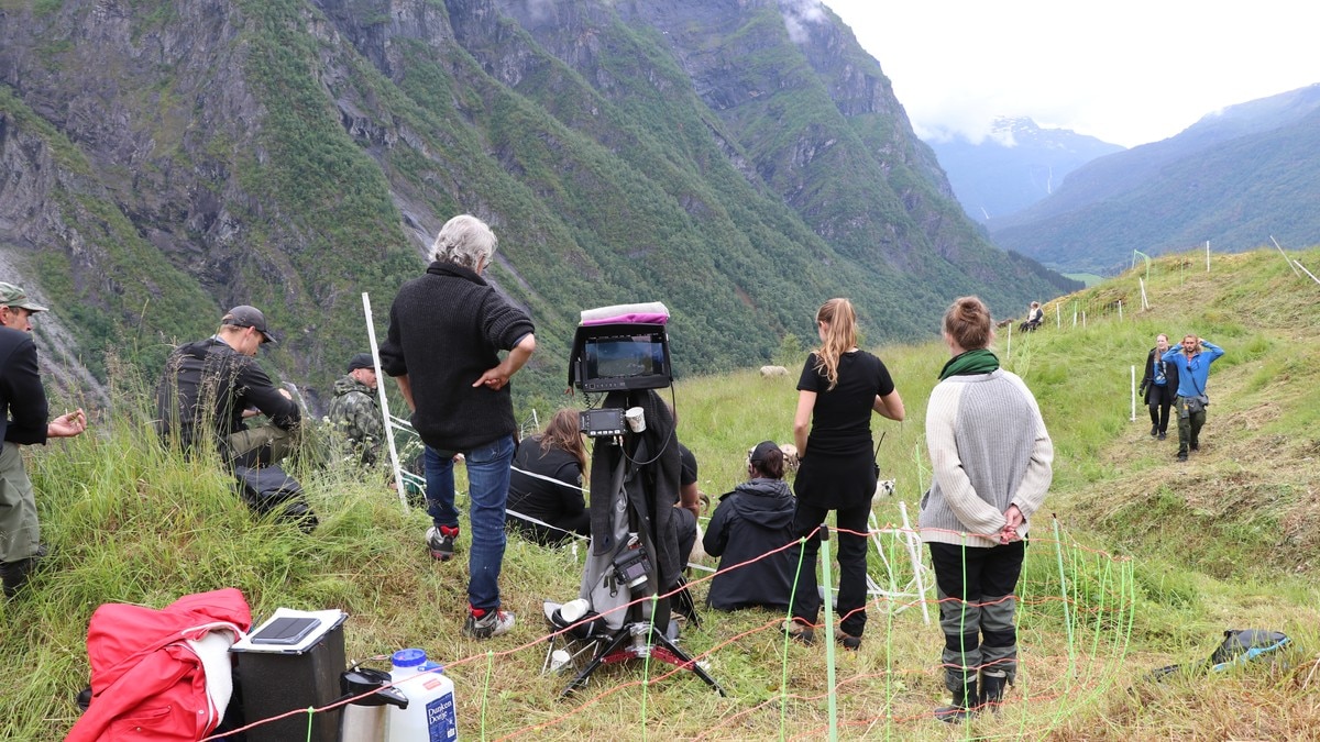 Pengetrøbbel for storfilm: Greier ikkje å betale ut lønn til tilsette