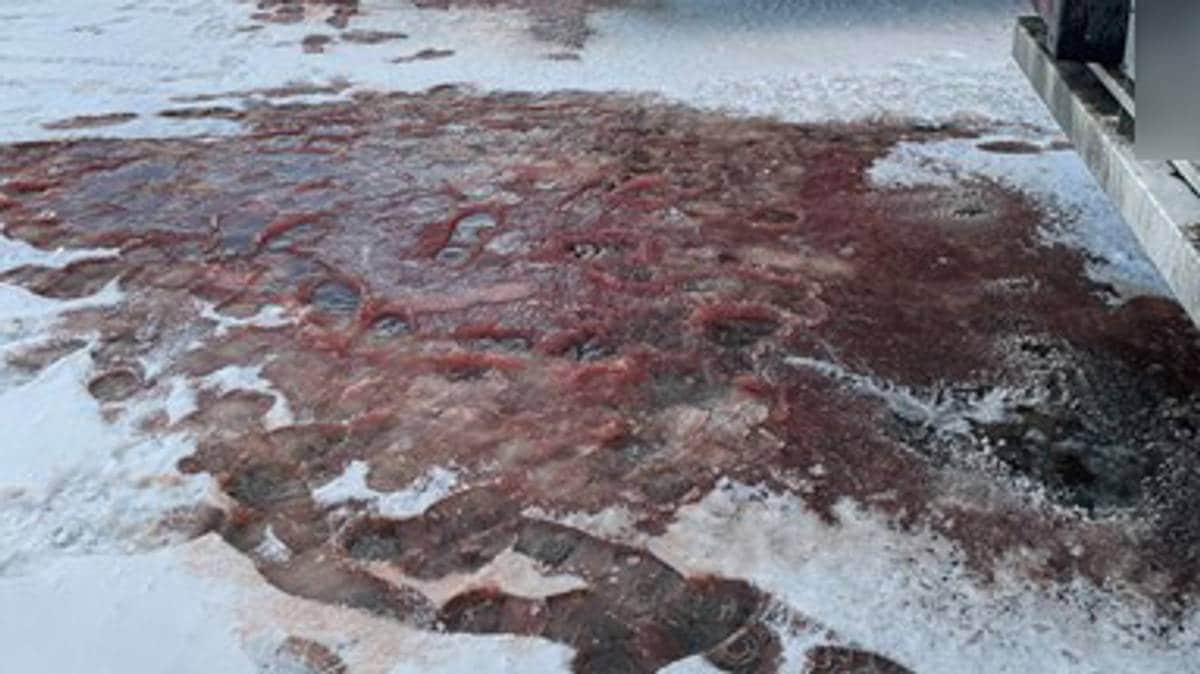 Meiner dei har løyst fiskesøl­problemet på norske vegar – ber resten av bransjen følgja etter