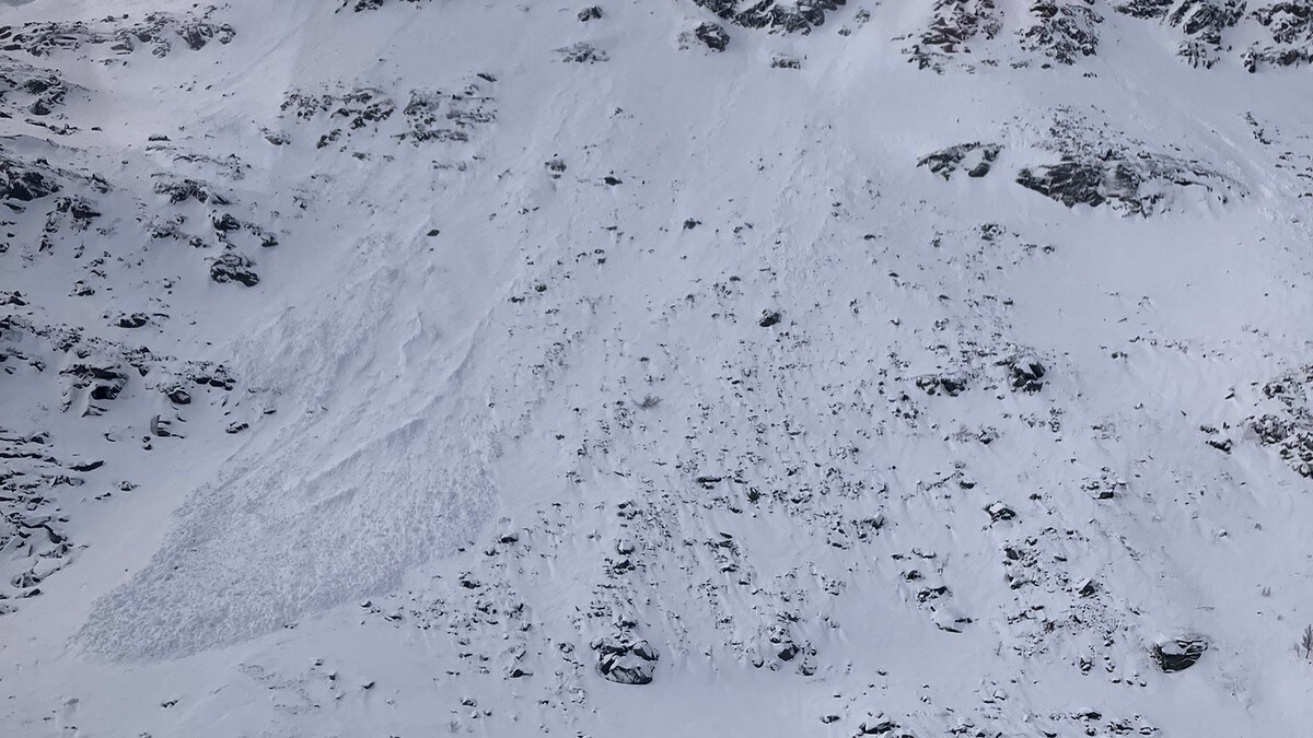 Bekymring for villreinen etter at minst 50 dyr omkom i snøskred