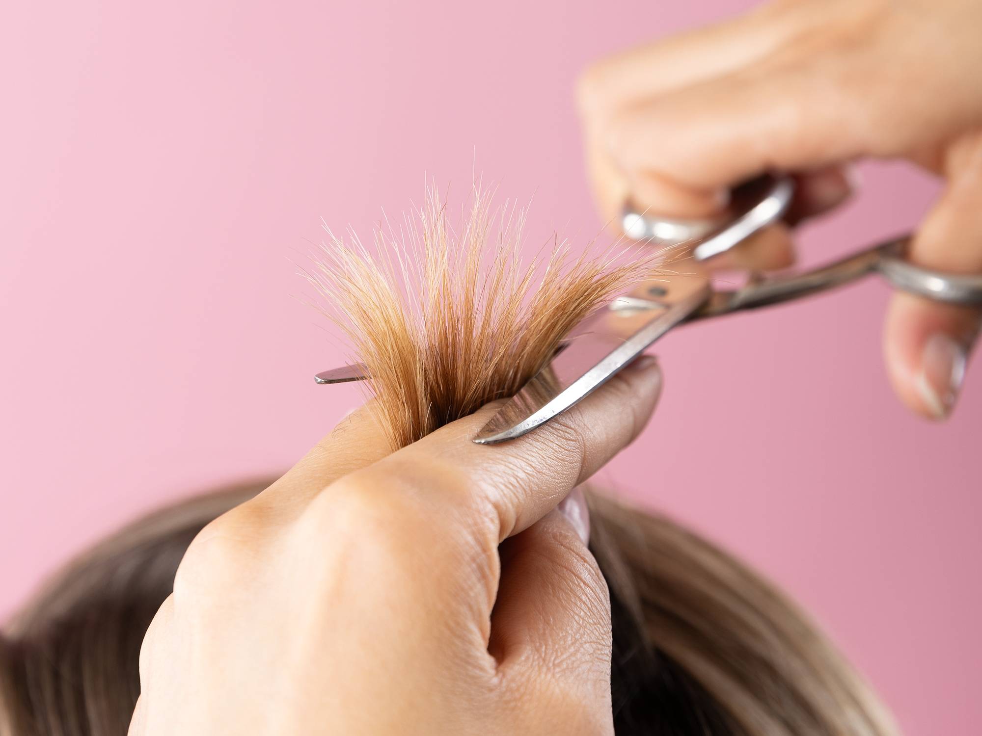 Et nærbilde av håret til Anita, hvor vi også ser en frisørs hender, med en saks, som skal til å klippe håret hennes. Bak er den samme rosa bakgrunnen som resten av bildene.