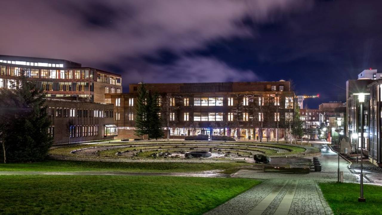 Labyrinten av Guttorm Guttormsgaard sett fra siden i mørket