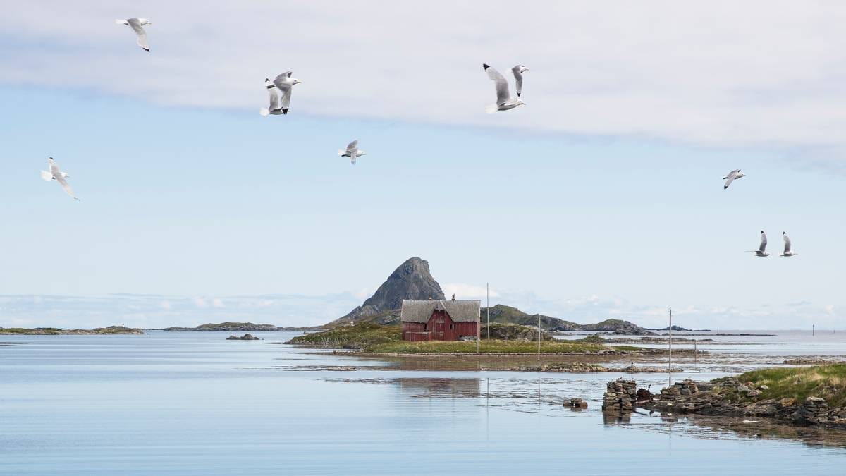 Høyre vil ha oljeleting utenfor Lofoten