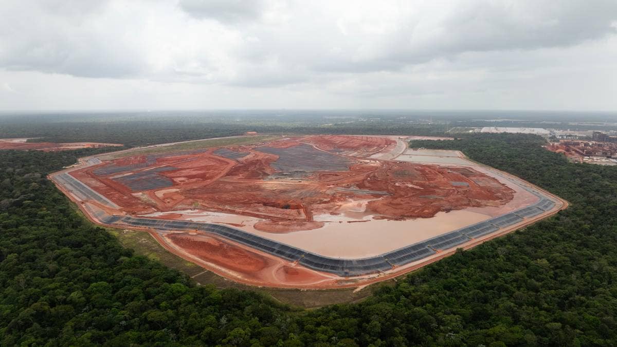 Ved et stykke norsk regnskog