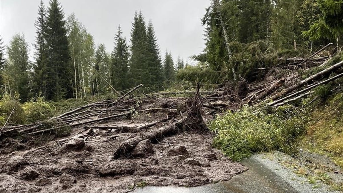 Nytt ras i Buskerud – to biler innesperret