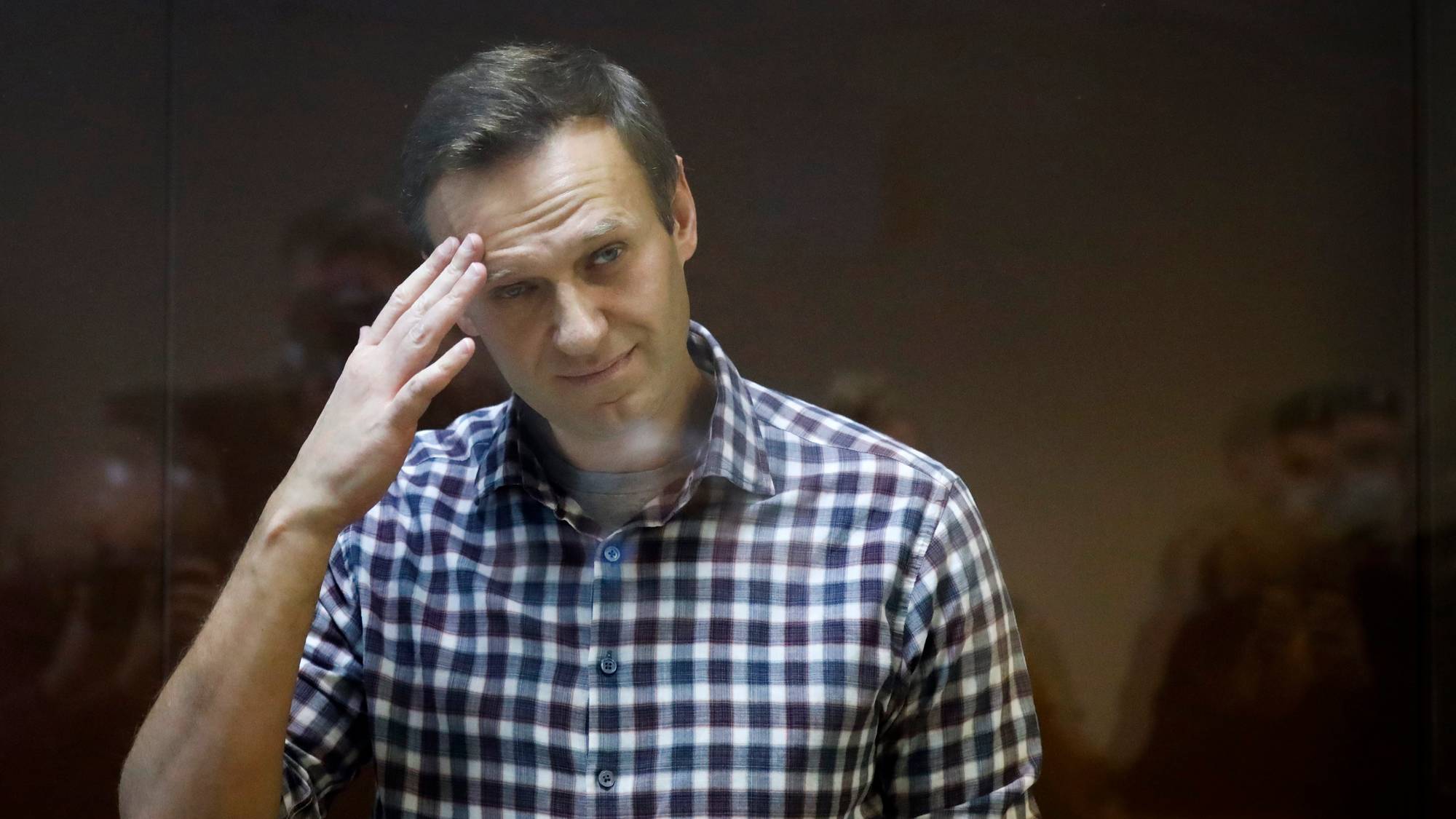 анатолий навальный. алексей анатольевич навальный. навальный в шереметьево. леша навальный. рейс победа навальный.