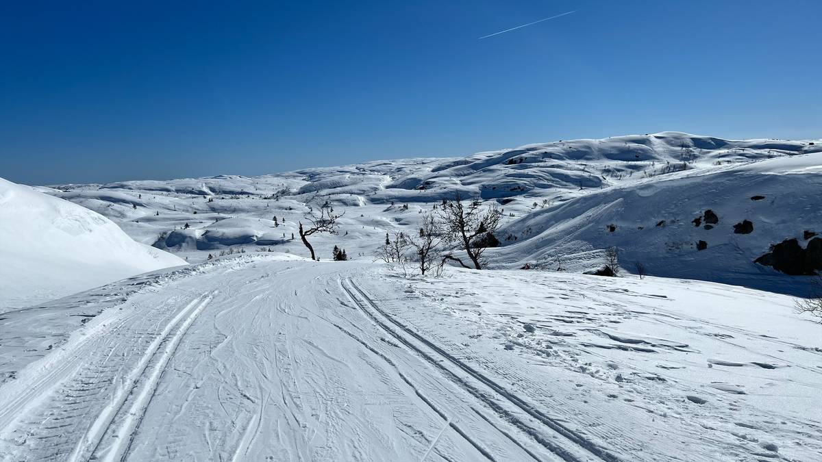 Fine skiforhold på fjellet