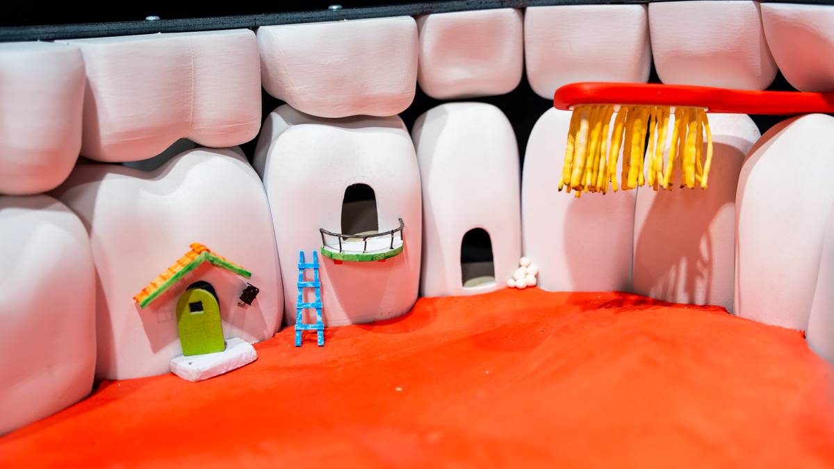 Lokale bedrifter bygger Dyreparken-attraksjon