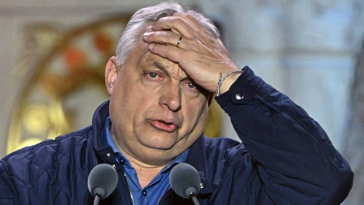 Europas sorte får ligger an til å miste statsministerposten