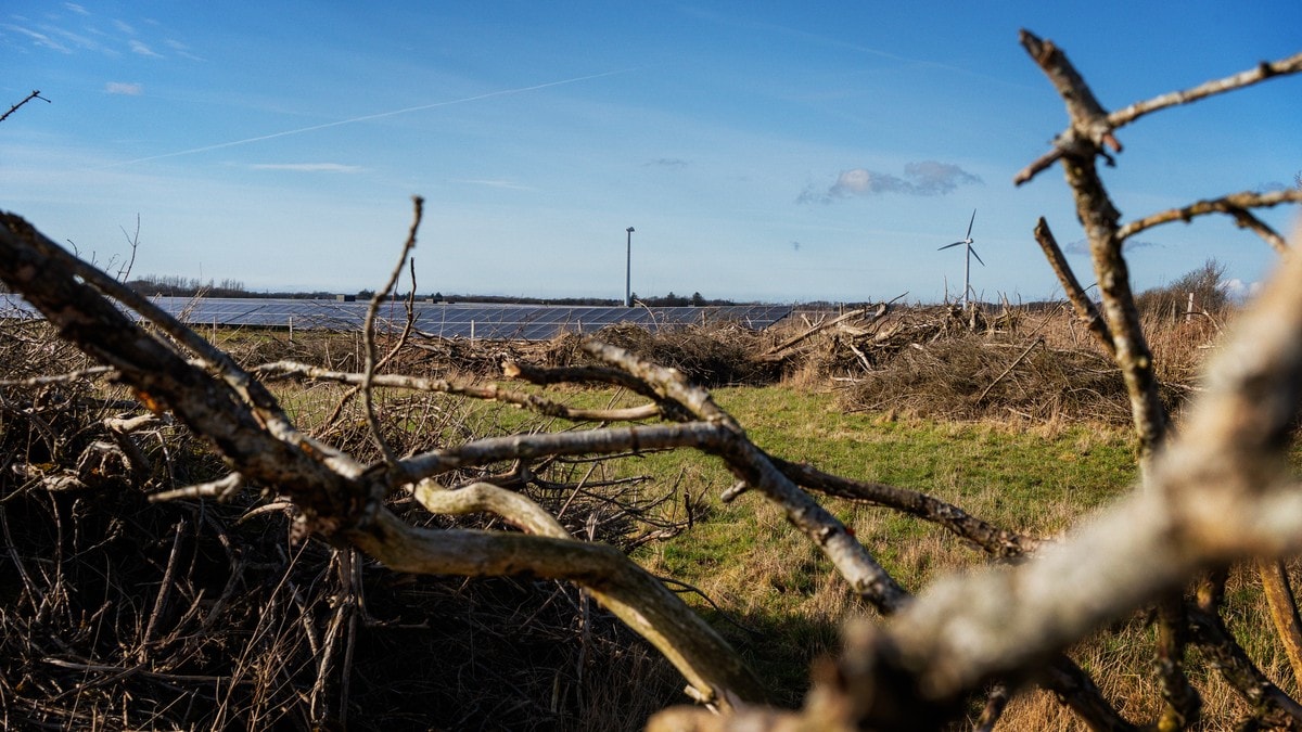 Glemt i «jernmarkene»: – Jeg er «fløjtende likeglad»
