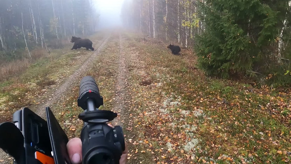 Isak Dreyer skal forklare seg i retten: Se jegernes egen video av bj&oslash;rnejakten