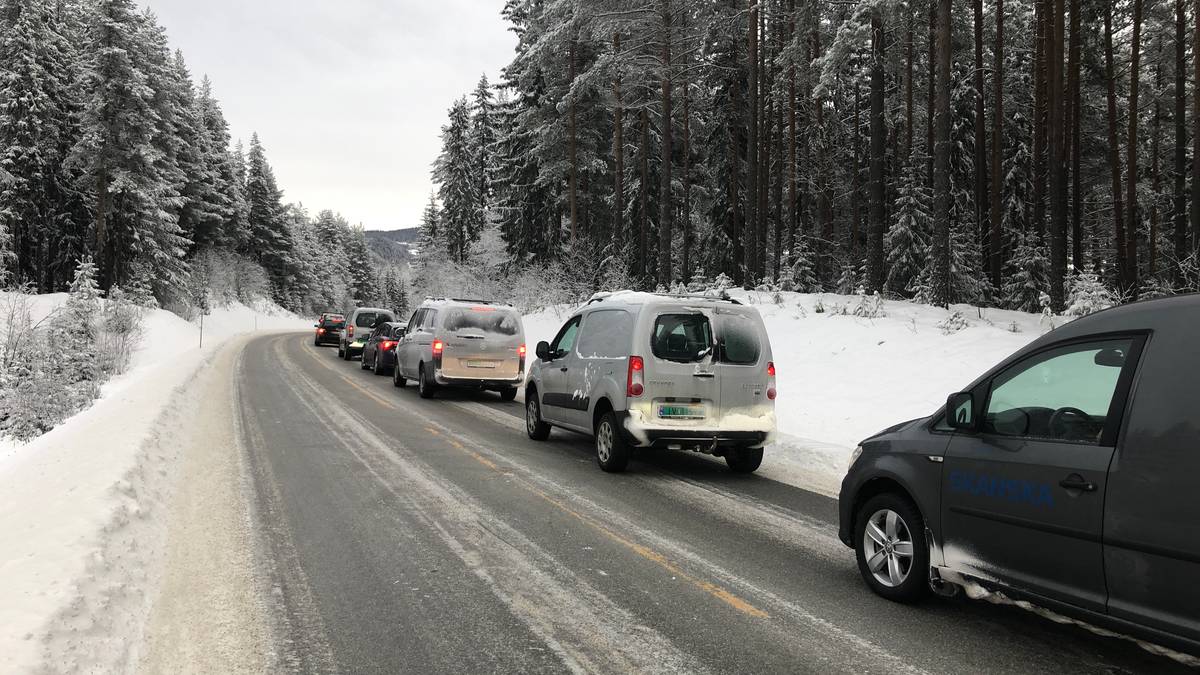 Køer På Grunn Av Bilberging – NRK Innlandet – Lokale Nyheter, TV Og Radio