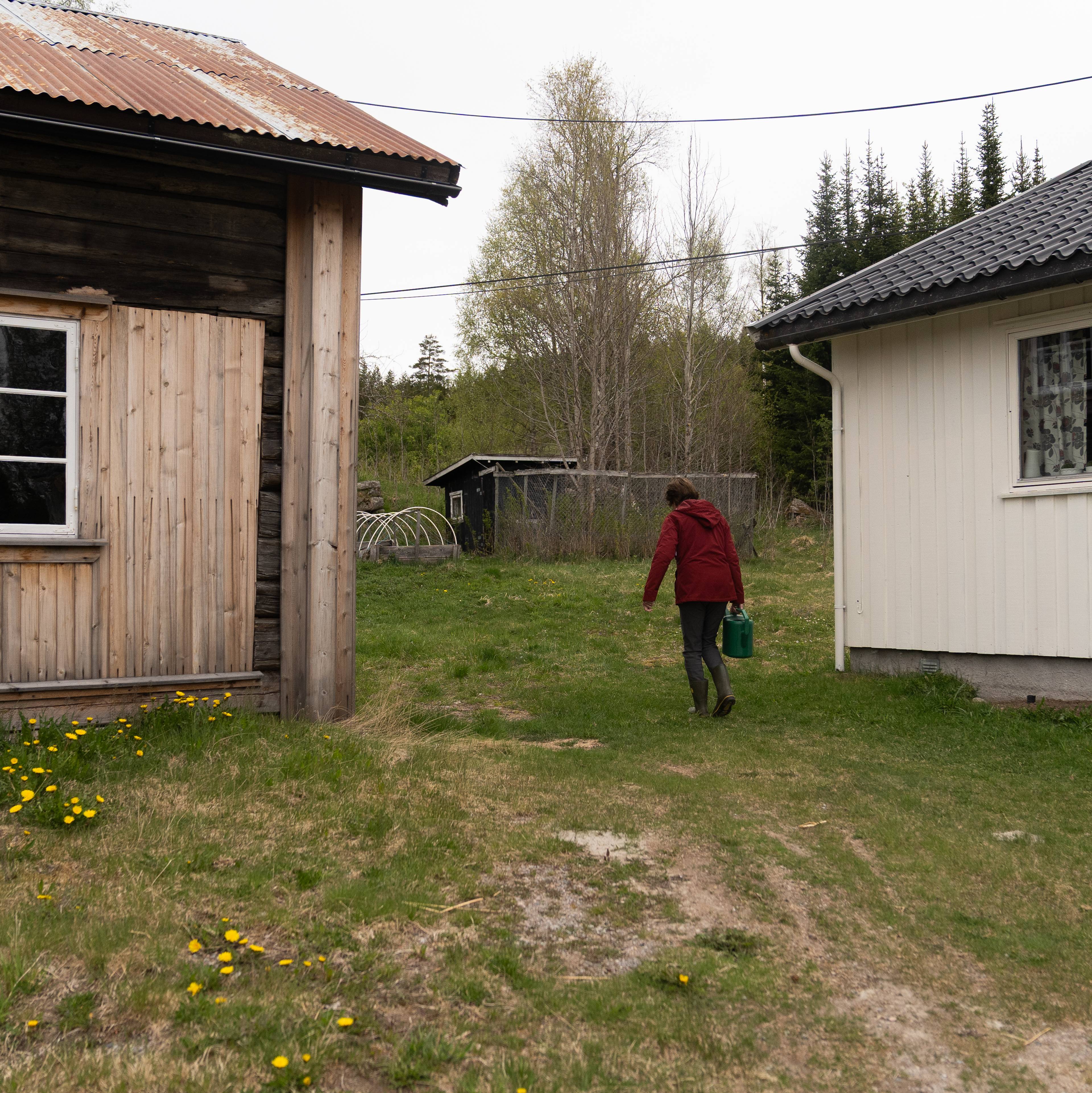 en person som går i en hage