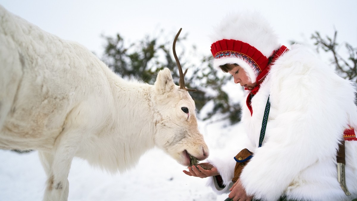 Samisk film på topplisten i hele verden
