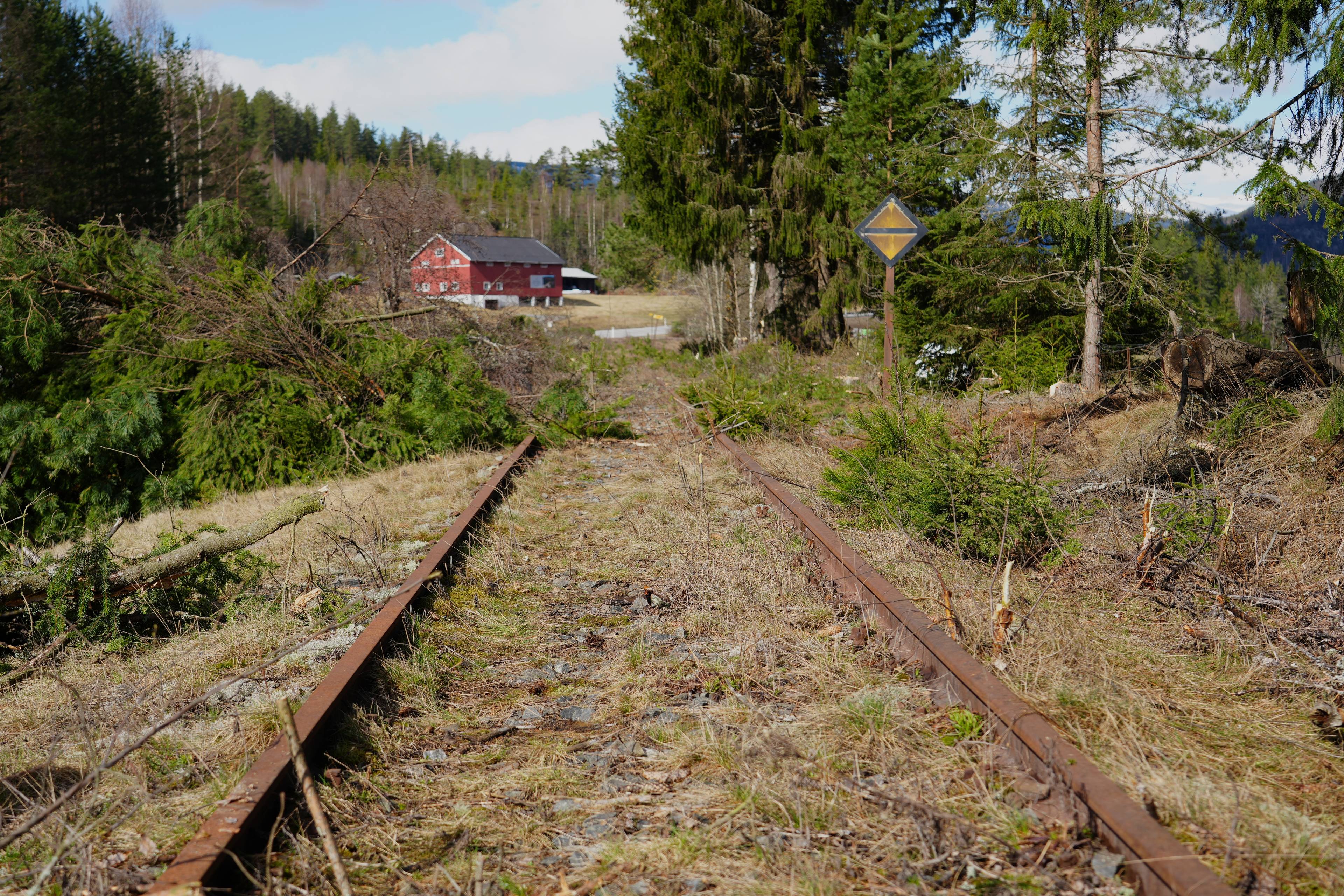 Etter rydding med skogmaskinen