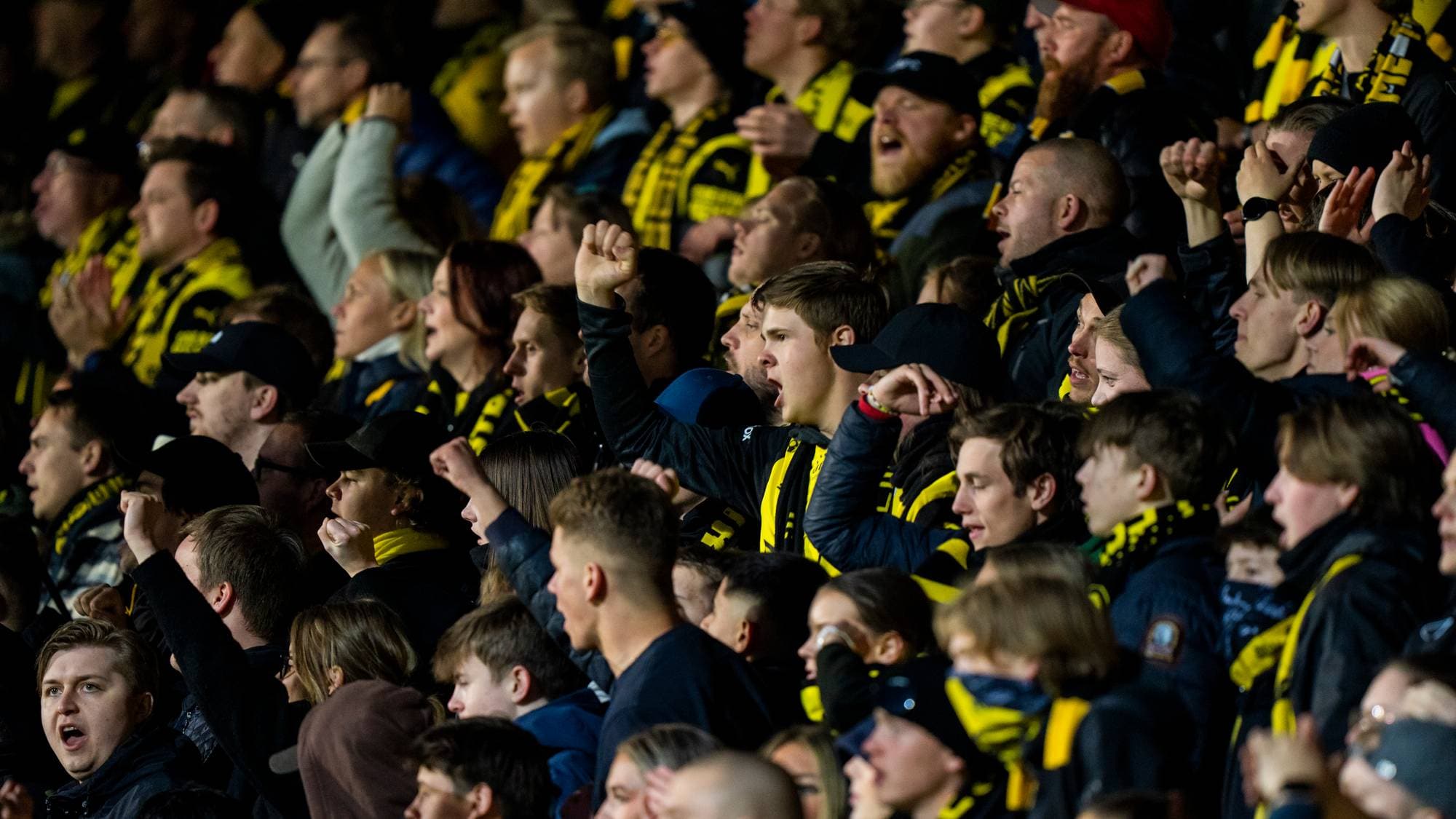 Publikum på tribunene heier og jubler iført gul- og svarte supportereffekter. (Bildebeskrivelsen er laget av en KI-tjeneste)