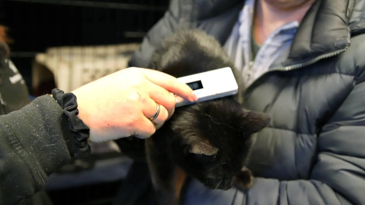 ID-merking kan forhindre smittespredning