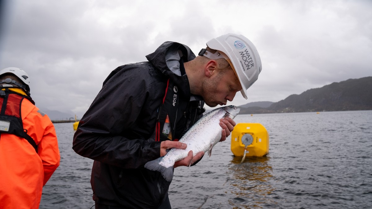 Satser farsarven for å stanse et bittelite kjempeproblem