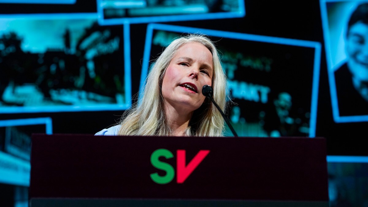 SV-leder Bergstø vil frede EØS-avtalen