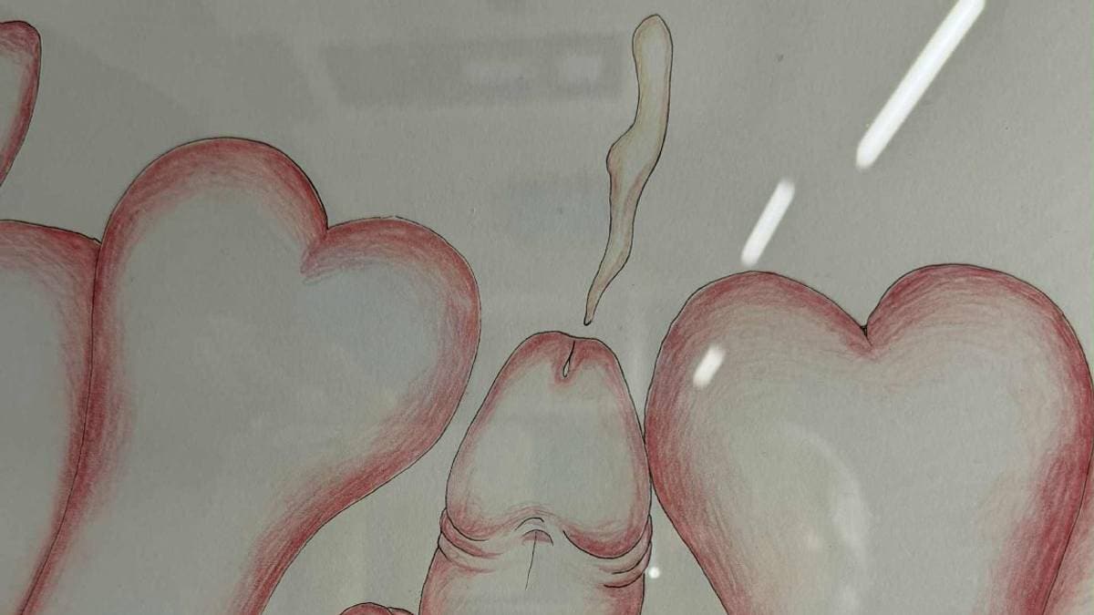 «Pikkant» kunst på Helsehuset: – Eg synest ikkje dette er rette plassen