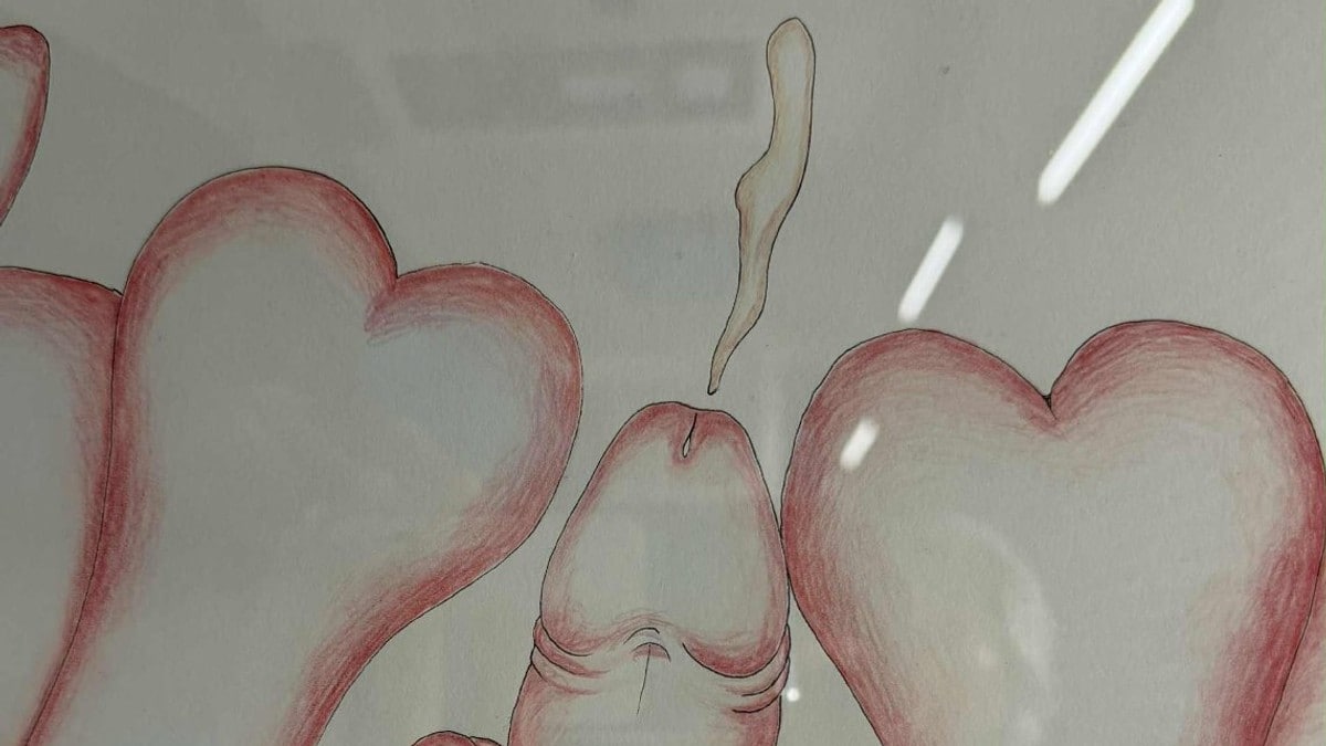 «Pikkant» kunst på Helsehuset: – Eg synest ikkje dette er rette plassen